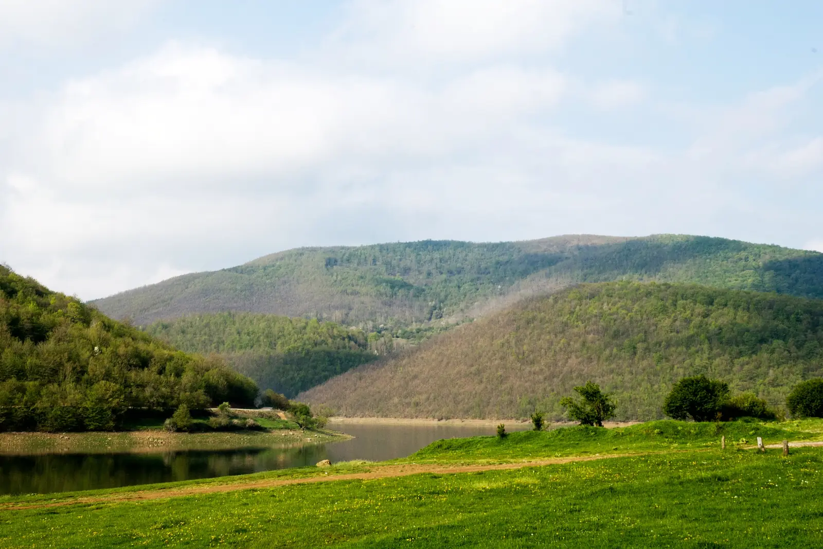 Kodra të gjelbra pranë Liqenit të Batllavës